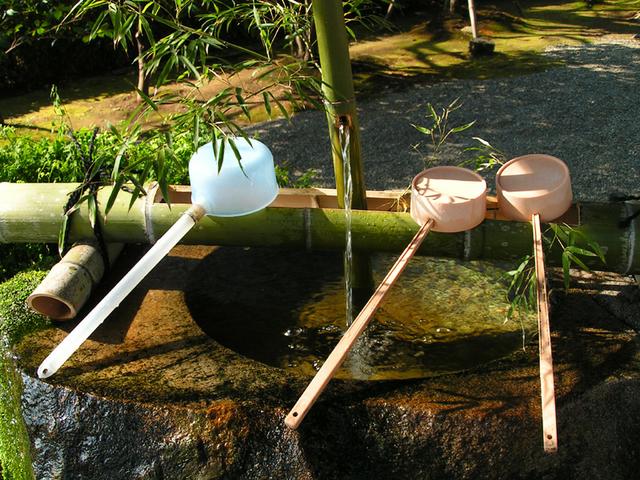 Pramen v bambusu