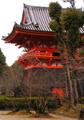 Japonská pagoda